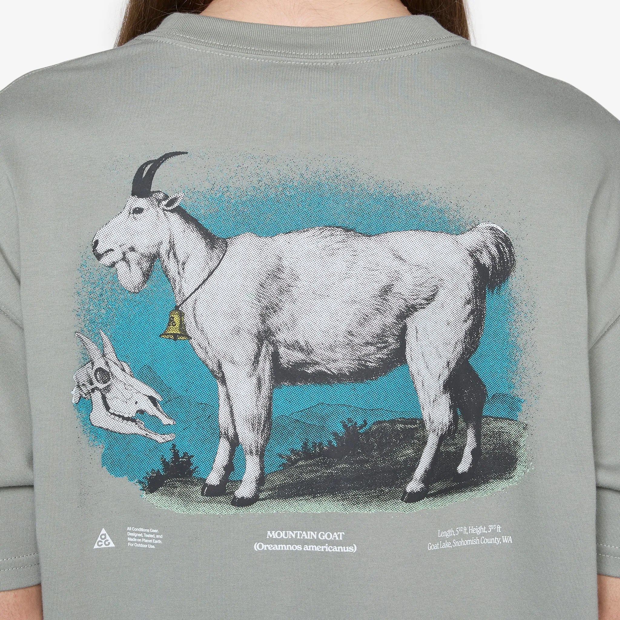 ACG Dri-FIT Goat T-Shirt Dark Stucco