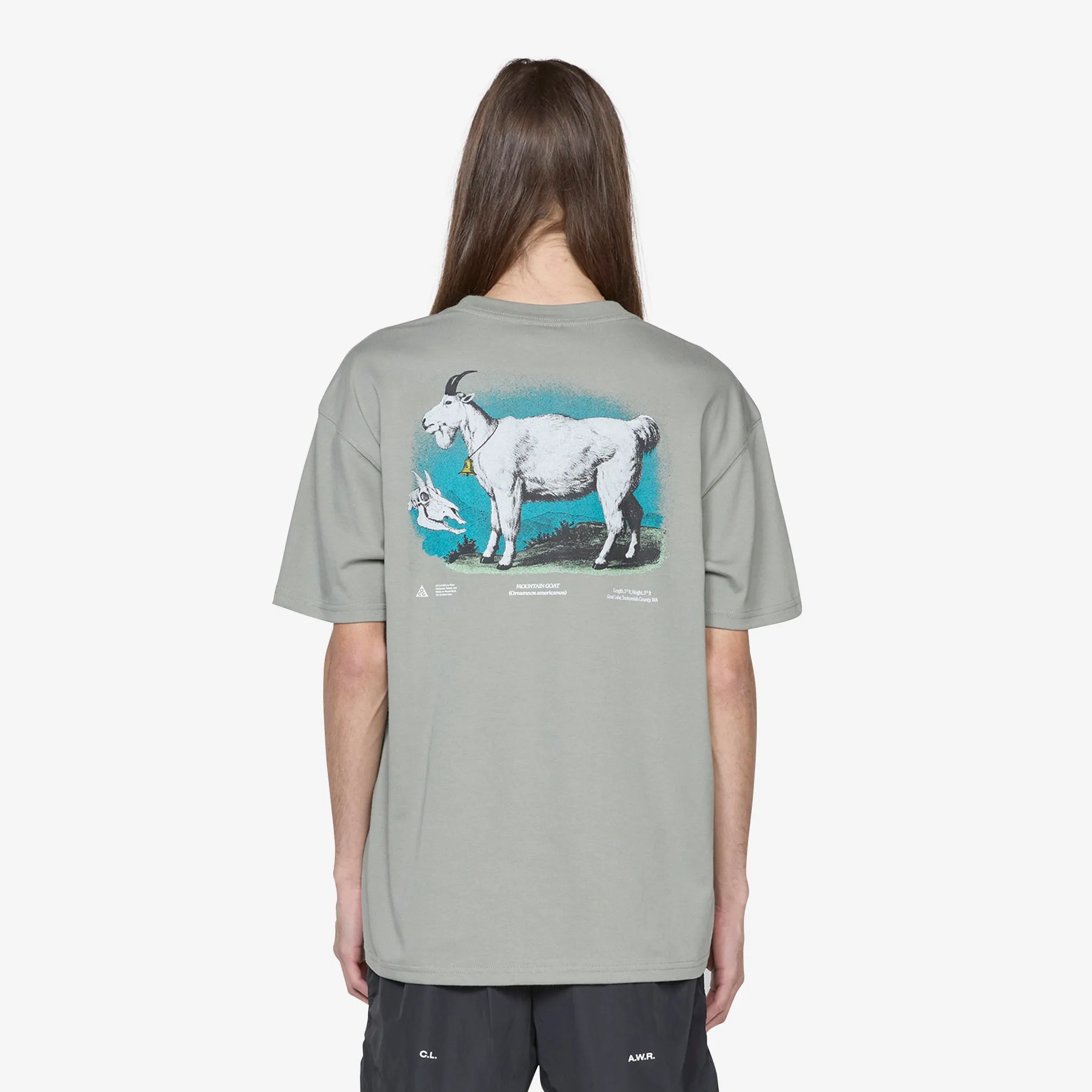 ACG Dri-FIT Goat T-Shirt Dark Stucco