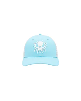 BLUE ICE TRUCKER