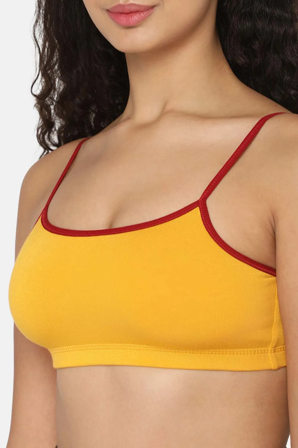 Intimacy Beginners-Bra Special Combo Pack - BB01 - C49