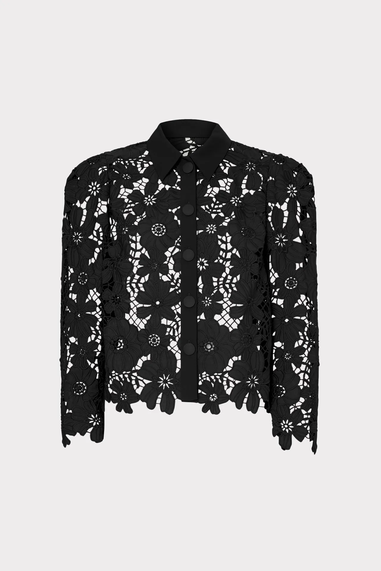 June Roja Lace Top